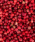 PIMIENTA ROSA EN GRANOS - comprar online