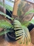 Plantas artificiales - comprar online