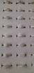 Imagen de ANILLOS (PLATA)