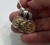 DIJES (PLATA & ORO) en internet