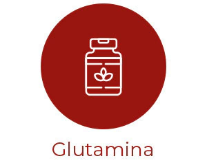 Marca 6 de Núcleo Amparo