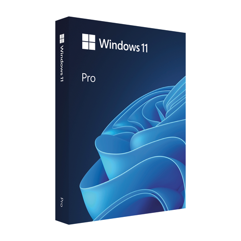 Windows 11