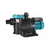 Motobomba para piscina 1.5 HP, 1 X 220V, 7.3 A, Succ. 1.5", Desc. 1.5"