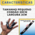100 Cordões Personalizados Automotivo Brinde Chaveiros - loja online