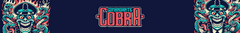 Banner de la categoría Comandante Cobra