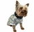 CAMISA SOCIAL BURBERDOG - M na internet