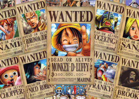 207 - One piece
