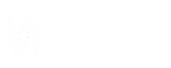 Evelyn Personalizados