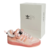 Adidas Forum x Bad Bunny Pink - comprar online