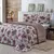 Kit Coberdrom Casal Queen Estampado 3 Pçs Dupla Face - Allpha Shope