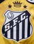 Camisa do Santos FC 2024/25 Third - Loja DG imports
