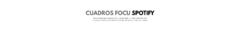 Banner de la categoría CUADROS SPOTIFY