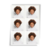FOTO CARNET - comprar online