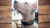 Imagen de Collar Martingale Simple