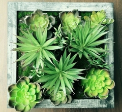 Banner da categoria Plantas e Folhagens