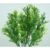 2698 BUQUE VERDE X5 - comprar online