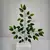 MC20103 FOLHA DE FICUS MC20103