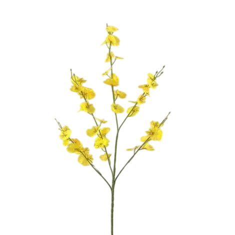 F203 - GALHO CHUVA DE OURO - comprar online