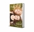 Amor Y Amistad - Jane Austen - MALVA - comprar online