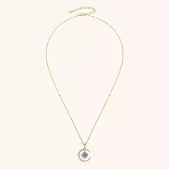 Imagem do Wong Rain-Colar de pingente em prata esterlina 925, 18K Banhado a Ouro, VVS1, 3D