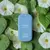 SANITIZER MORNING GLORY - HAAN en internet