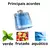 Perfume Náutica - Voyage - Perfumes Importados Femininos e Masculinos | La Belle