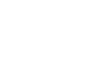 Stilo Grife