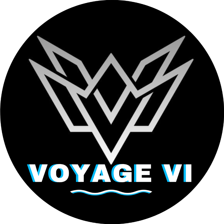 VOYAGE VI