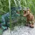 Imagem do Super Dinossauro com sons e luzes marcantes - Solta fumaça