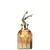 Scandal Absolu For Her Jean Paul Gautier Parfum - Perfume Feminino - comprar online