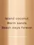 Victoria's Secret Coconut Passion - Body Splash - 250ml - comprar online