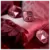 Lady Million Empire Rabanne Eau de Parfum - Perfume Feminino - loja online