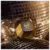 Lady Million Fabulous Rabanne Eau de Parfum - Perfume Feminino - loja online