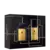 Conjunto The Golden Secret Banderas Masculino - Eau de Toilette 100ml + Desodorante Spray 150ml - comprar online