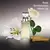 Eternity Calvin Klein Eau de Parfum - Perfume Feminino - Laurel Perfumaria