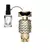 Decant - Fame Rabanne Eau de Parfum - Perfume Feminino - comprar online