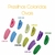 Presilhas Ovais Plásticas Coloridas - Kit com 12 Unidades (Mix de Cores) - comprar online