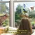 Comedero para pájaros salvajes con ventana, mesa salvaje transparente, ventosas - MEGA BUY VARIETIES