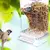 Imagen de Comedero automático para pájaros, comedero para mascotas, cómodo y fácil de