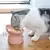 Cuenco de pie alto para perro y gato, Protector de cuello de 45 °, comida para - comprar online