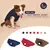 Ropa de invierno para perro, chaqueta cálida a prueba de frío para exteriores - MEGA BUY VARIETIES