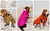 Ropa de invierno para perro, chaqueta cálida a prueba de frío para exteriores