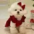 Ropa de invierno para mascotas, jersey de Pomerania de color sólido, Rojo cáli - tienda online
