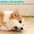 Pelota de juguete interactiva para gatos, bola giratoria automática de 360°, a - MEGA BUY VARIETIES
