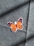 Mariposas - comprar online