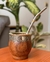 Bombilla Pico de Loro - comprar online