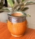 Mate Imperial en internet