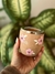 Mate Mia - MiaMaitea