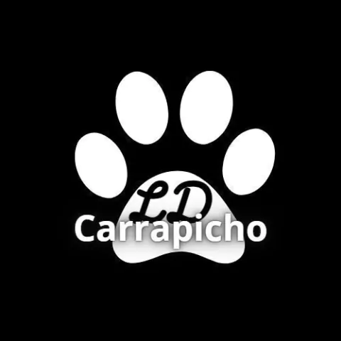 Carrapicho