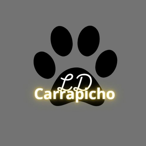 Carrossel 1